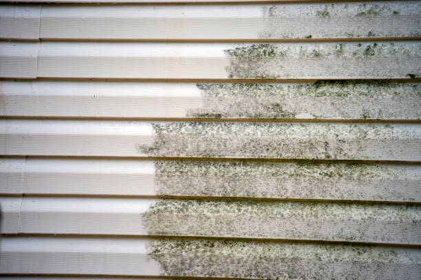 Best Siding Removal and Disposal  in Palatka, FL